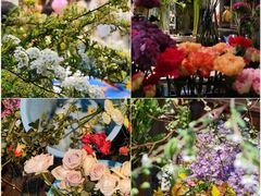 -循礼门鲜花花市(武汉循礼门店)