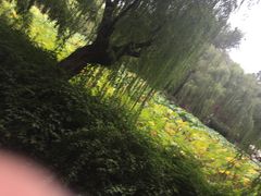-包公祠
