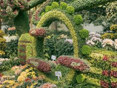 -杭州植物园