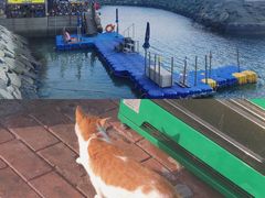 -海云台海滩