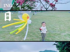 -风云岭森林公园