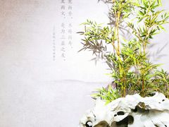 -深圳博物馆(古代艺术馆)