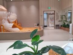 -龙格亲子游泳·水育早教运动中心(绿宝中心)