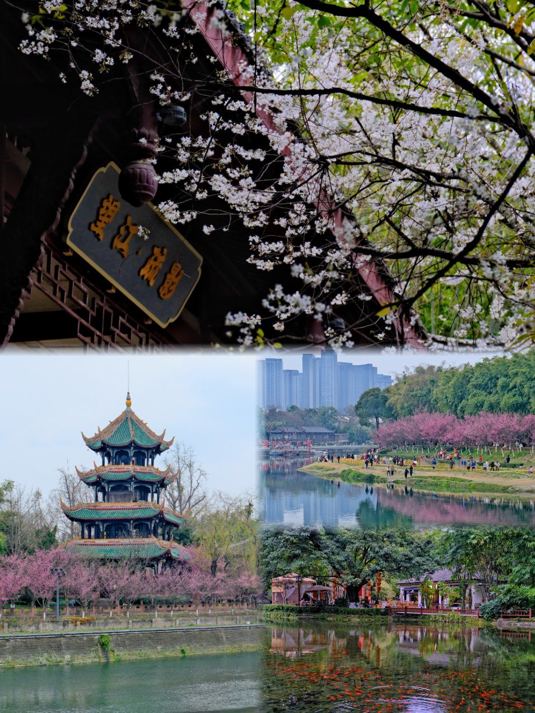 望江楼公园赏花踏春