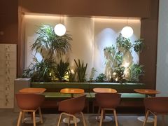 -奈雪的茶(石家庄万象城店)