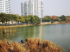 -放鹰台遗址