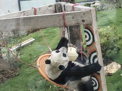 -无锡动物园·太湖欢乐园
