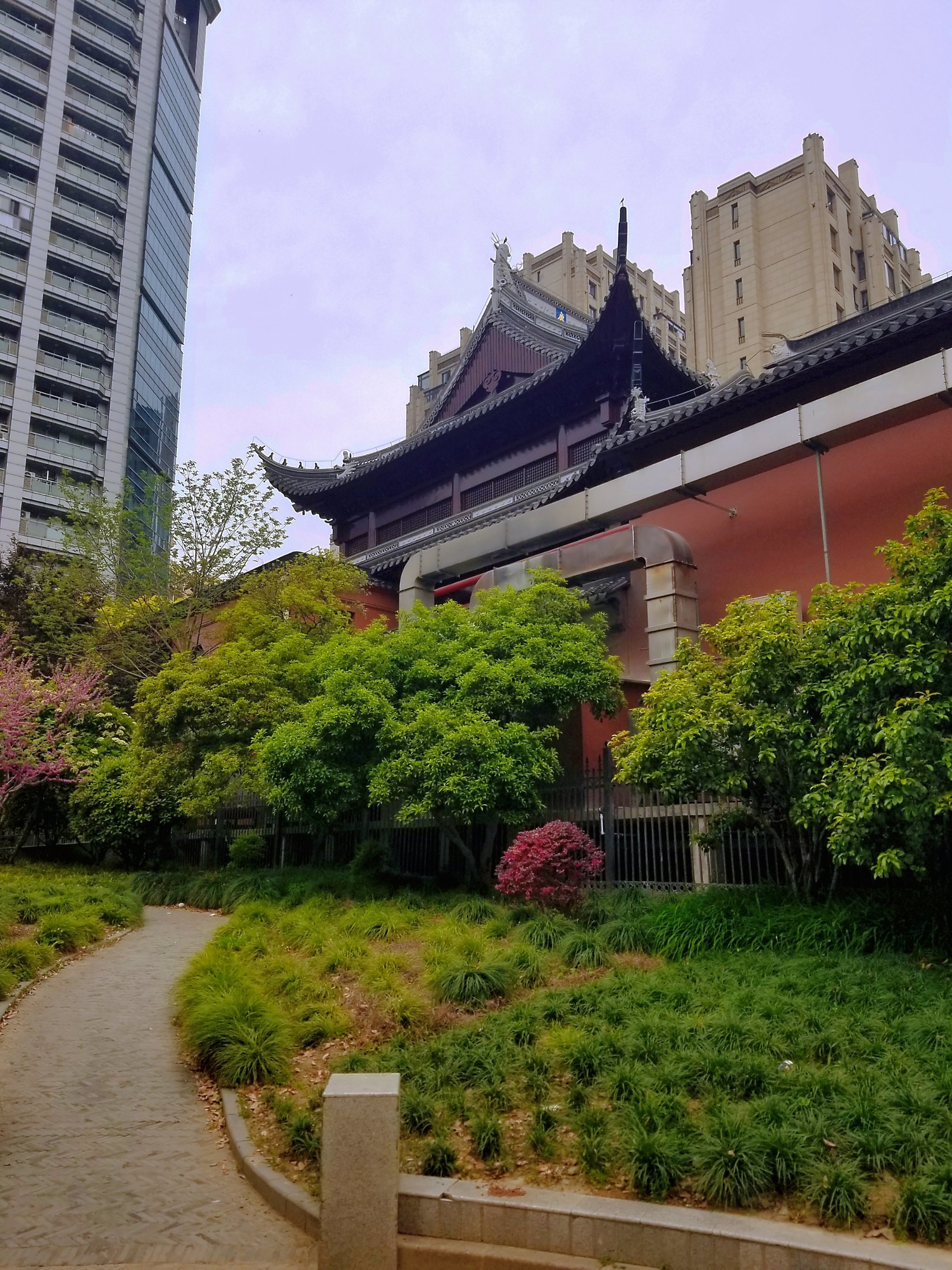 上海老县城最后城墙大境阁开满了黄木香