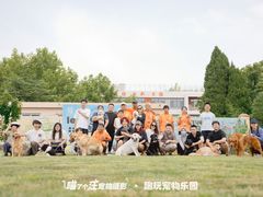 -趣玩宠物乐园寄养训犬训狗游泳池