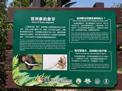 -海南热带野生动植物园