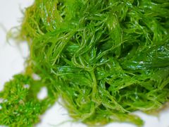 -同禧荟·港味海鲜火锅·粤菜(三亚湾店)