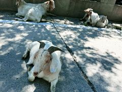 -白草畔自然风景区