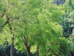 -崂山九水游览区