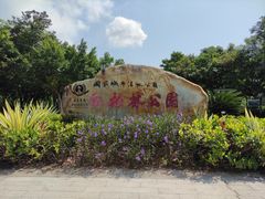 -大亚湾红树林城市湿地公园