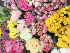 -双季花艺园艺市场(浦东店)