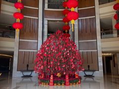 -深圳星河丽思卡尔顿酒店