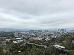 -福道