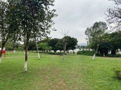 -松山湖南湖湾露营营地