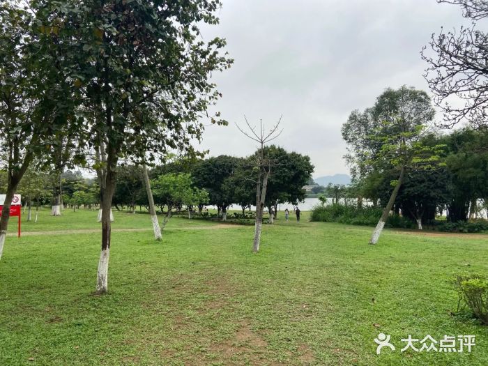 松山湖南湖湾露营营地图片
