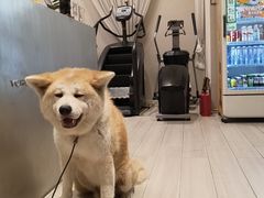 -YCHL Studios健身工作室(市二宫店)