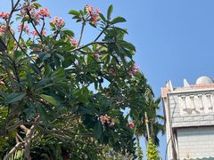 -三亚西岛海洋文化旅游区