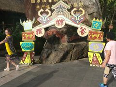 -海南槟榔谷黎苗文化旅游区