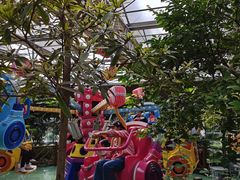 -南宫五洲植物乐园