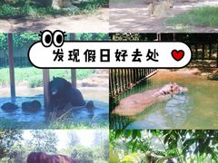 -海南热带野生动植物园