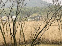 -西湖风景区-江洋畈生态公园