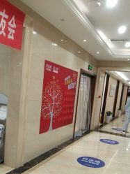 -碧莲盛·不剃发植发