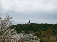 -苏州上方山国家森林公园