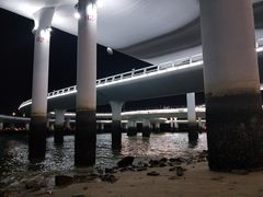 -演武大桥观景平台