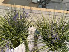 -首开·龙湖成都西宸天街