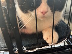 -HONGA HONGA雄家(曹路店)