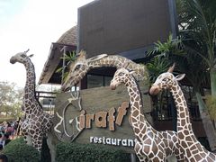 -清迈夜间动物园