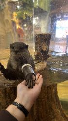 -Zoolung Zoolung动物主题公园(海信广场店)