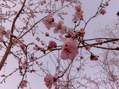 -三里河公园