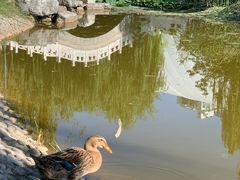 -丰台科技园生态主题公园