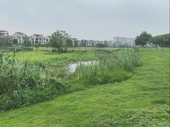 -两河城市森林公园