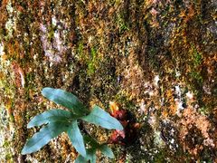 -西南交通大学(峨眉校区)