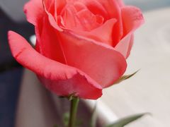 -好兄弟郭巨海鲜(天一阁店)