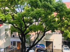 -上海市眼病防治中心(康定路院区)