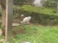 -金香匯晚茶(浑南店)