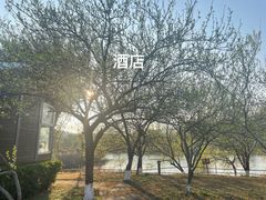 -广东大峡谷