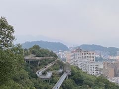 -福道