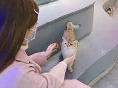 -极木²邸 人与宠物·互动社区