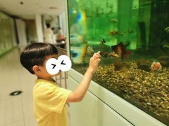 -中国杭州低碳科技馆