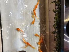 -辣不二地道川菜(汉水路店)