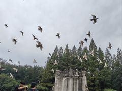 -音乐台