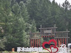 -苏木山森林公园